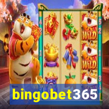 bingobet365