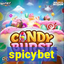 spicybet-2.com