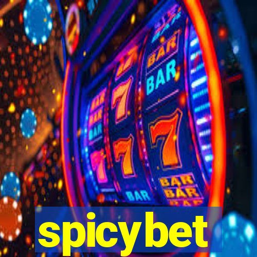 spicybet-2.com